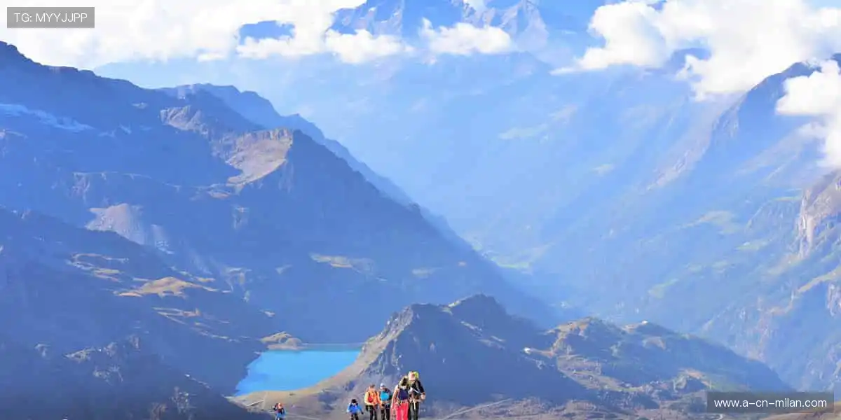 🎯运动装备，潮流周边，一站式满足你的热爱！